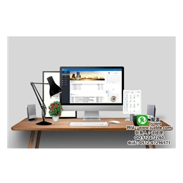 蘇州勝納軟件 專業(yè)ERP開(kāi)發(fā)，助力企業(yè)智慧升級(jí)